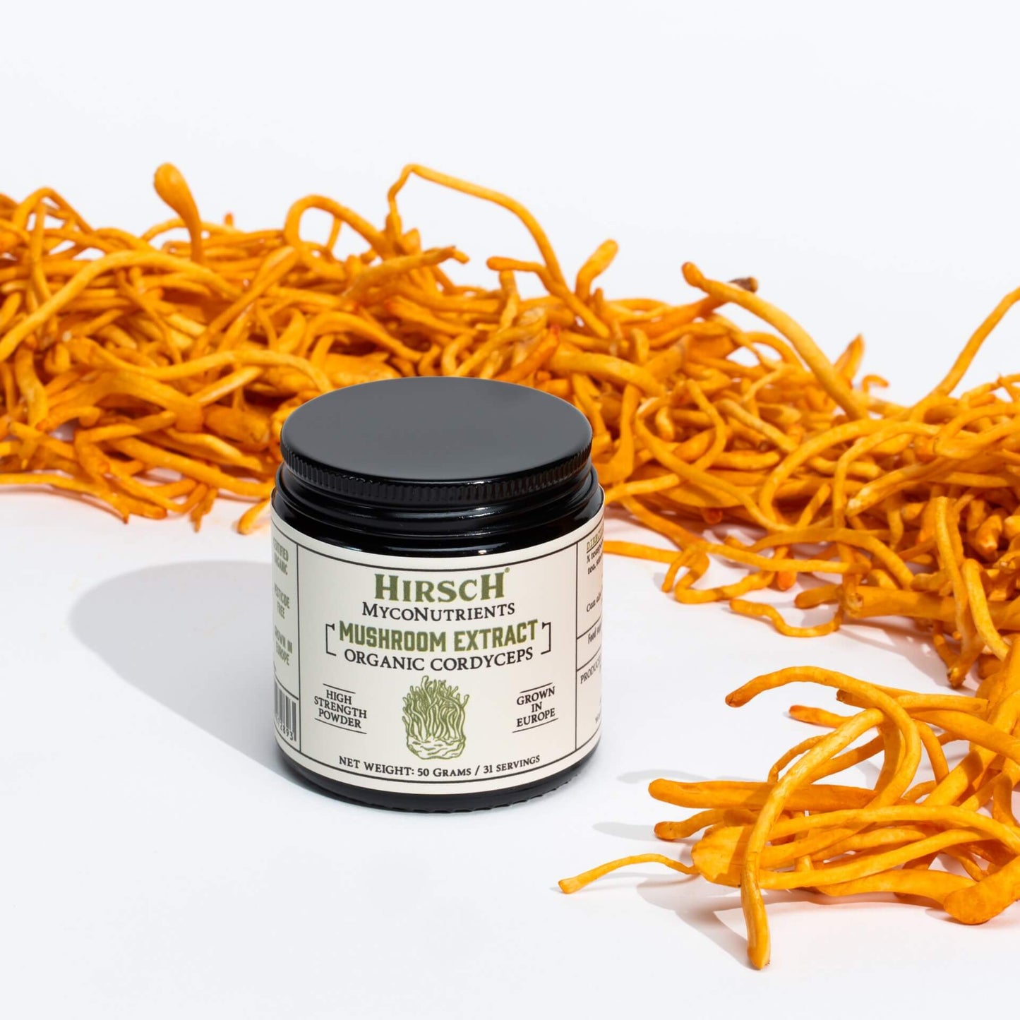 Hirsch MycoNutrients™ Organic Cordyceps Mushroom Extract Powder