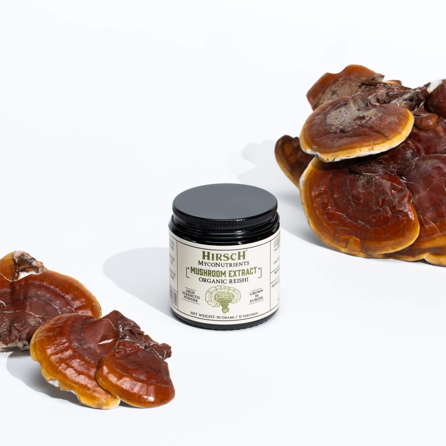 Hirsch MycoNutrients™ Organic Reishi Mushroom Extract Powder