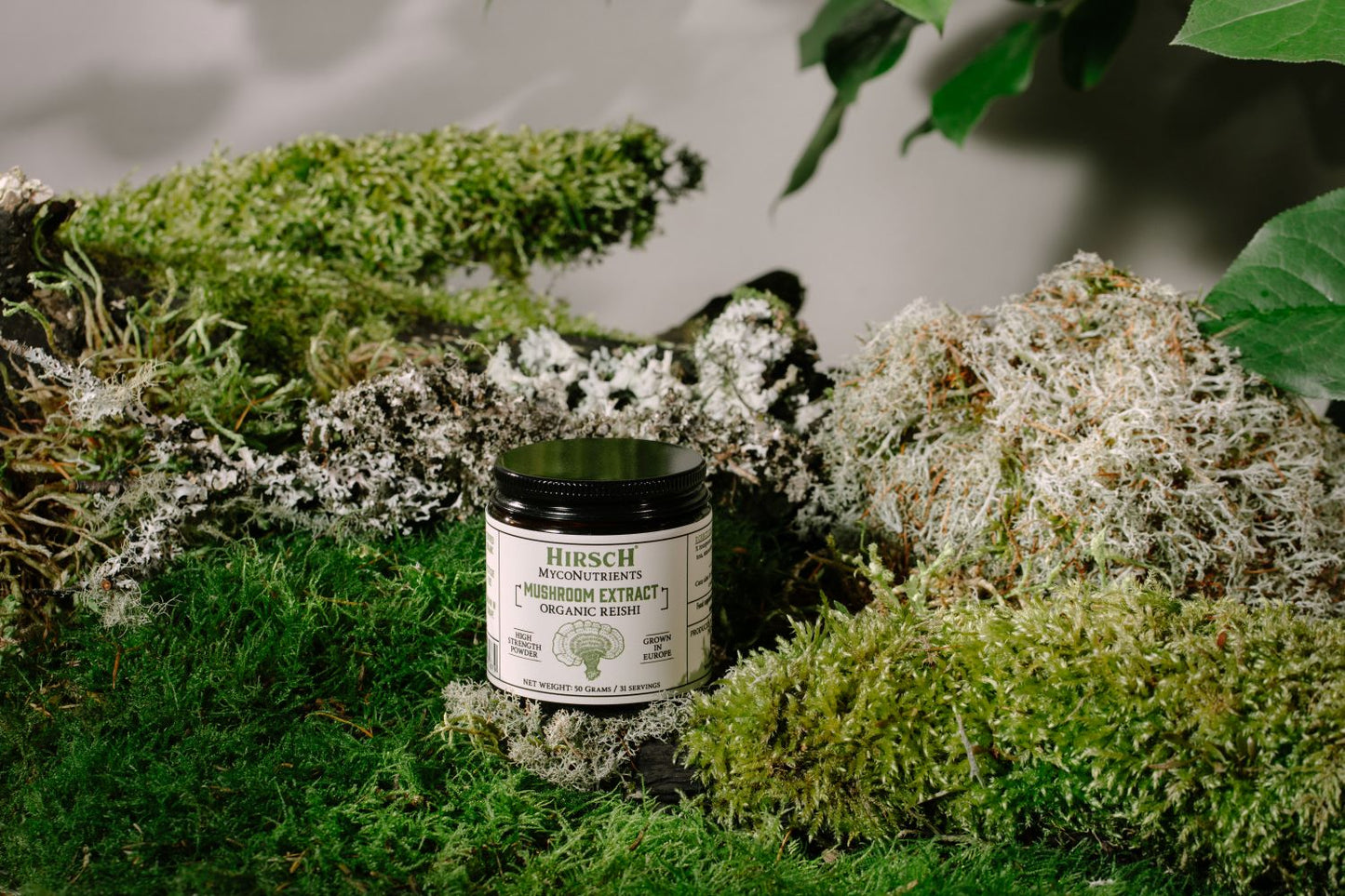 Hirsch MycoNutrients™ Organic Reishi Mushroom Extract Powder
