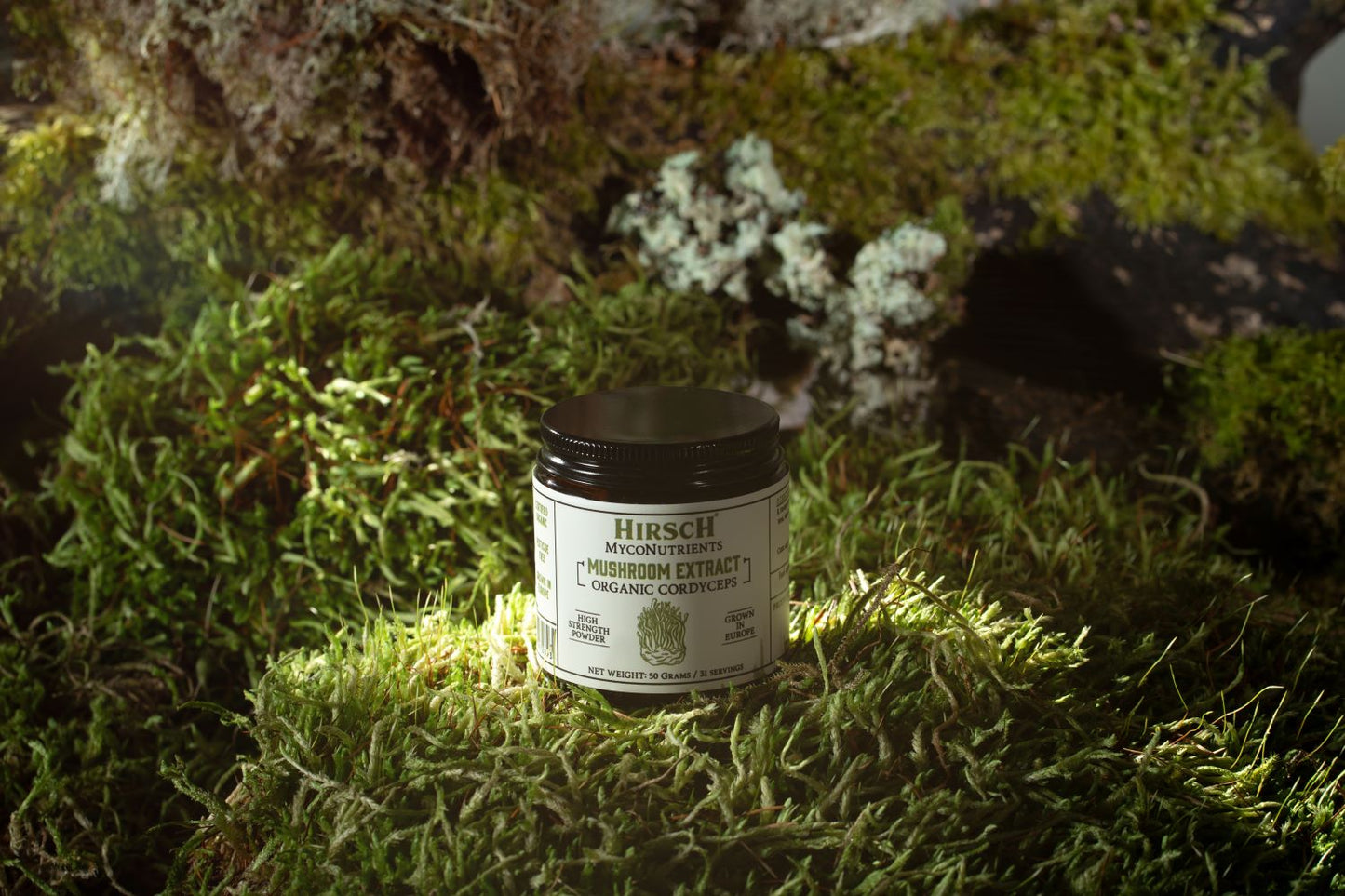 Hirsch MycoNutrients™ Organic Cordyceps Mushroom Extract Powder