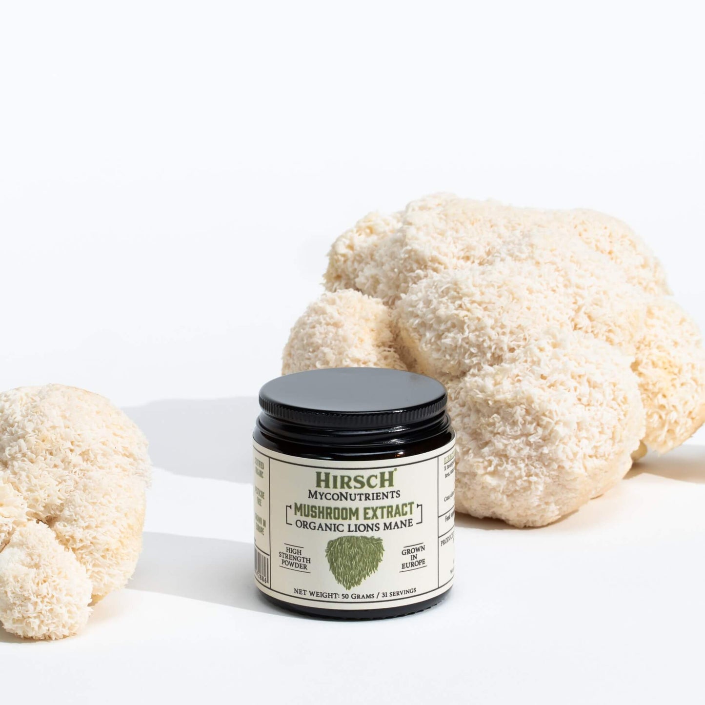 MycoNutrients™ Organic Lions Mane Mushroom Extract Powder